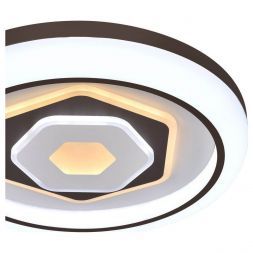 Потолочный светодиодный светильник F-Promo 2456-5C