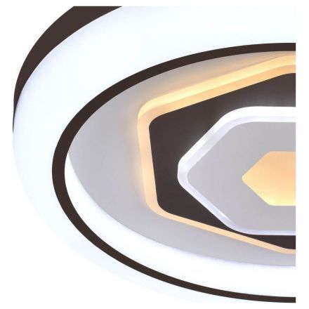 Потолочный светодиодный светильник F-Promo 2456-5C