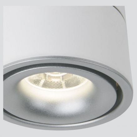 Потолочный светильник Elektrostandard DLR031 15W 4200K 3100 белый матовый/серебро