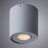Потолочный светильник Arte Lamp A5645PL-1GY