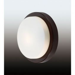 Настенно-потолочный светильник Odeon Light 2744/1C IP44