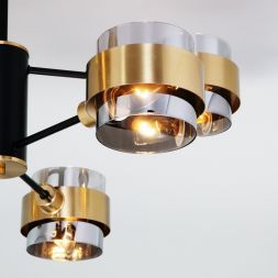 Потолочная люстра Eurosvet 70127/6 черный/дымчатый