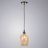 Подвесной светильник Arte Lamp A4344SP-1AB Propus