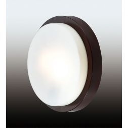 Настенно-потолочный светильник Odeon Light 2744/2C IP44
