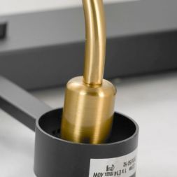 Потолочная люстра Lussole Topgrade LSP-8397