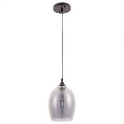 Подвесной светильник Arte Lamp A4344SP-1BK Propus