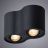 Потолочный светильник Arte Lamp A5645PL-2BK