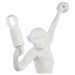 Светильник настенный Evoluce SLE115111-01 TENATO