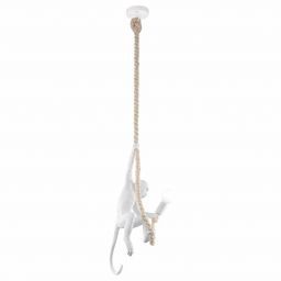 Светильник подвесной Evoluce SLE115103-01 TENATO (STLUCE SLE115103-01)