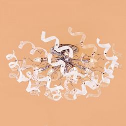 Люстра Citilux CL222191