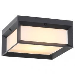 Светильник уличный потолочный ST Luce SL077.402.01 CUBISTA