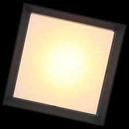Светильник уличный потолочный ST Luce SL077.402.01 CUBISTA