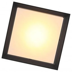 Светильник уличный потолочный ST Luce SL077.402.01 CUBISTA