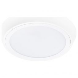 Потолочный светодиодный светильник Lightstar 216904