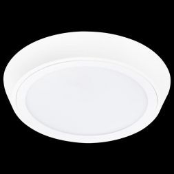 Потолочный светодиодный светильник Lightstar 216904