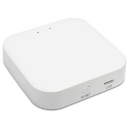 WI-FI конвертер ST Luce ST015.500.97 Skyline 220