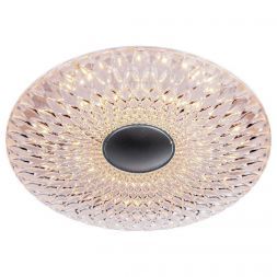 Потолочный светодиодный светильник Escada 10271/S LED