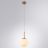 Подвесной светильник Arte Lamp A1565SP-1PB Volare