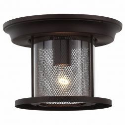 Светильник уличный потолочный ST Luce SL080.402.01 LASTERO