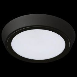 Потолочный светодиодный светильник Lightstar 216972