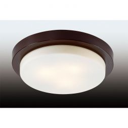 Настенно-потолочный светильник Odeon Light 2744/3C IP44