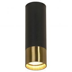 Потолочный светильник Loft LSP-8556