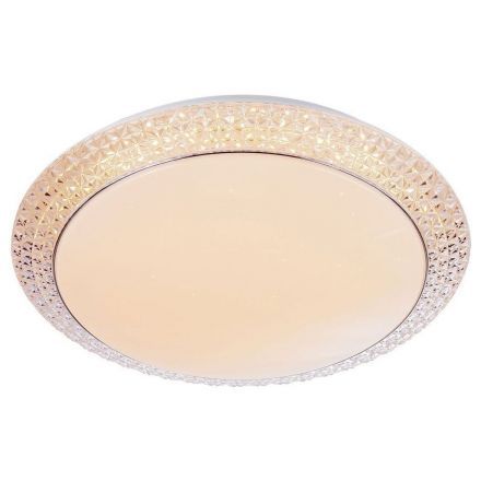 Потолочный светодиодный светильник Escada 10272/S LED