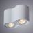 Потолочный светильник Arte Lamp A5645PL-2WH