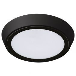 Потолочный светодиодный светильник Lightstar 216974