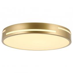 Потолочный светодиодный светильник F-Promo 2745-2C