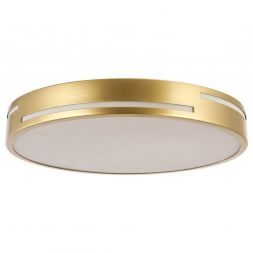 Потолочный светодиодный светильник F-Promo 2745-2C