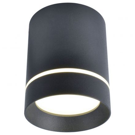 Светильник потолочный Arte Lamp A1909PL-1BK