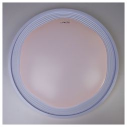 Потолочный светодиодный светильник Eurosvet 40006/1 LED белый