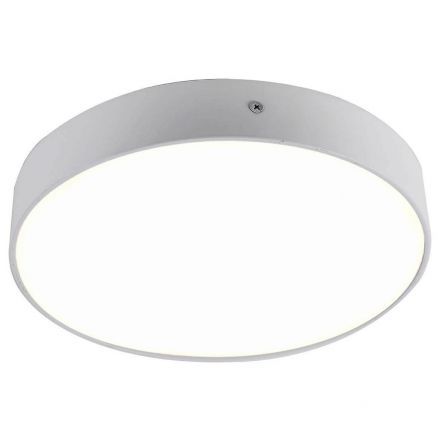 Потолочный светодиодный светильник Favourite Flashled 2065-30C