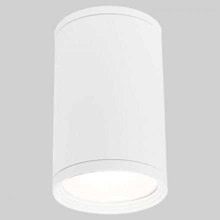Уличный потолочный светильник Light 2101 IP65 Elektrostandard 35128/H белый