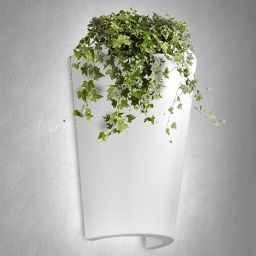 Уличный настенный светильник Mantra 6508 (MANTRA 6508)