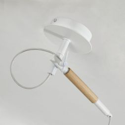 Подвесной светильник F-Promo 3005-1P
