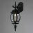 Светильник Arte Lamp A1042AL-1BG