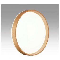 Настенно-потолочный светильник Sonex GARI WOOD 7684/DL