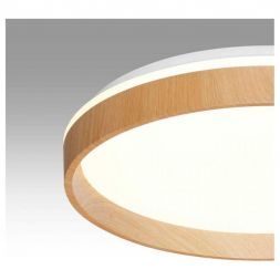 Настенно-потолочный светильник Sonex GARI WOOD 7684/DL