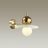 Бра Odeon Light 5014/1WB Hatty