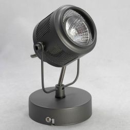 Светильник спот Lussole LOFT Haines LSP-8045