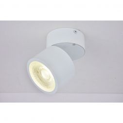 Светильник накладной Linvel LED-RPL NS 15 12W 4000K 800Lm Белый угол рассеивания 35°