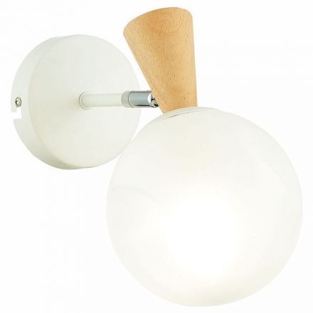 Настенный светильник Evoluce SLE220701-01 Catania