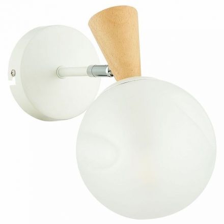 Настенный светильник Evoluce SLE220701-01 Catania