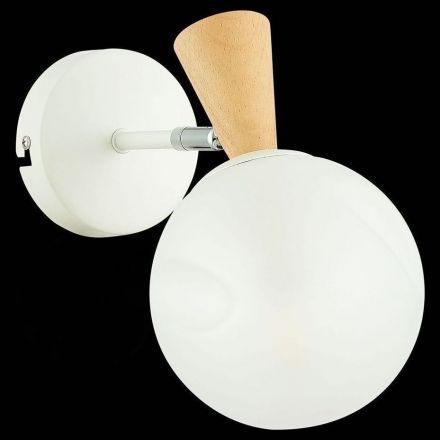 Настенный светильник Evoluce SLE220701-01 Catania