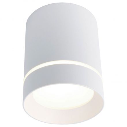 Светильник потолочный Arte Lamp A1909PL-1WH