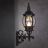 Светильник Arte Lamp A1041AL-1BG