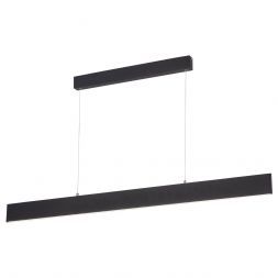 Светильник подвесной Arte Lamp A2505SP-2BK