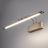 Настенный светильник Elektrostandard Simple LED бронза (MRL LED 10W 1011 IP20)